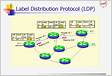 MPLS LDP Label Distribution Protocol